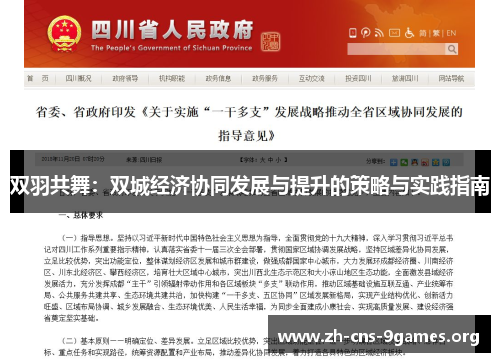 双羽共舞：双城经济协同发展与提升的策略与实践指南