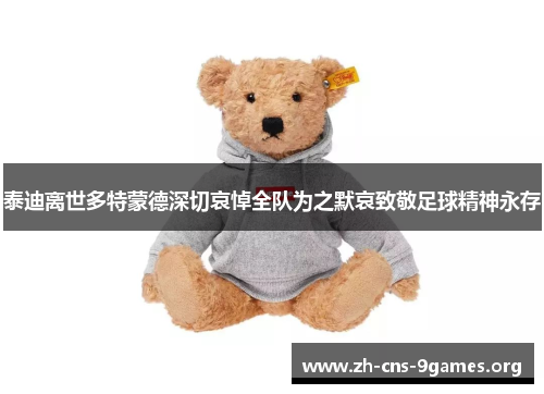 泰迪离世多特蒙德深切哀悼全队为之默哀致敬足球精神永存